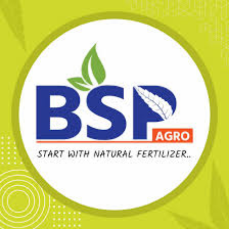 bsp