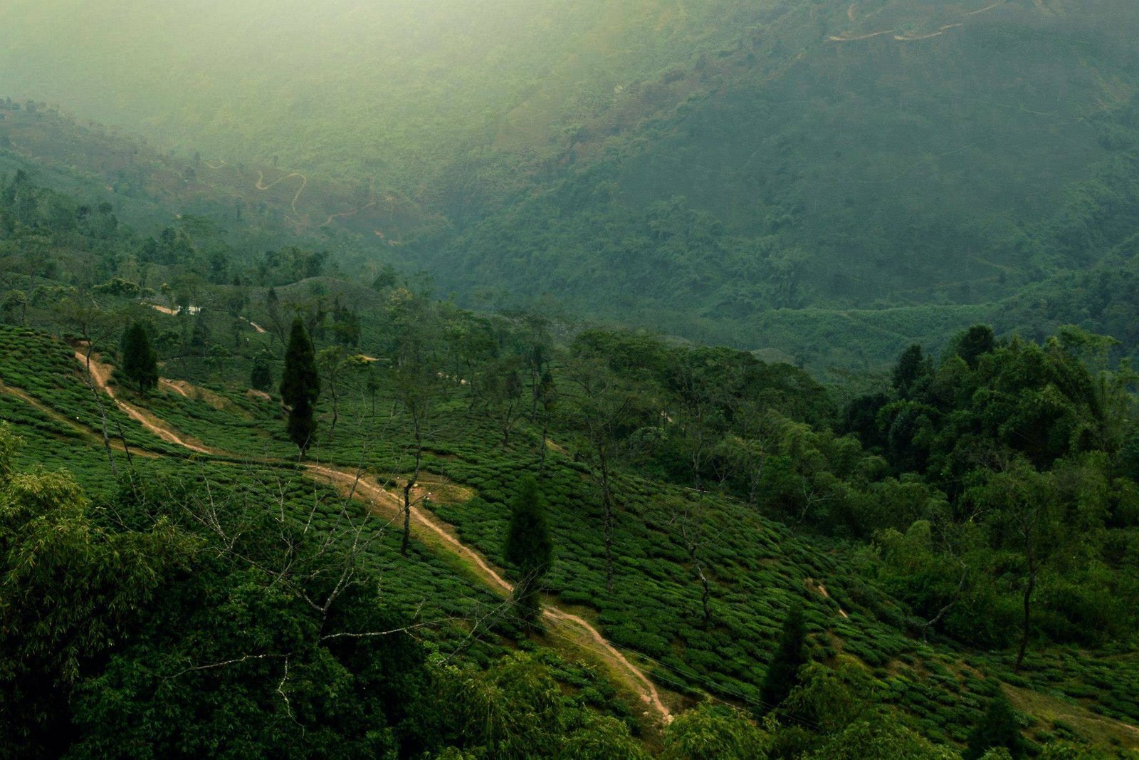 North East Three Sisters 7 Nights / 8 Days