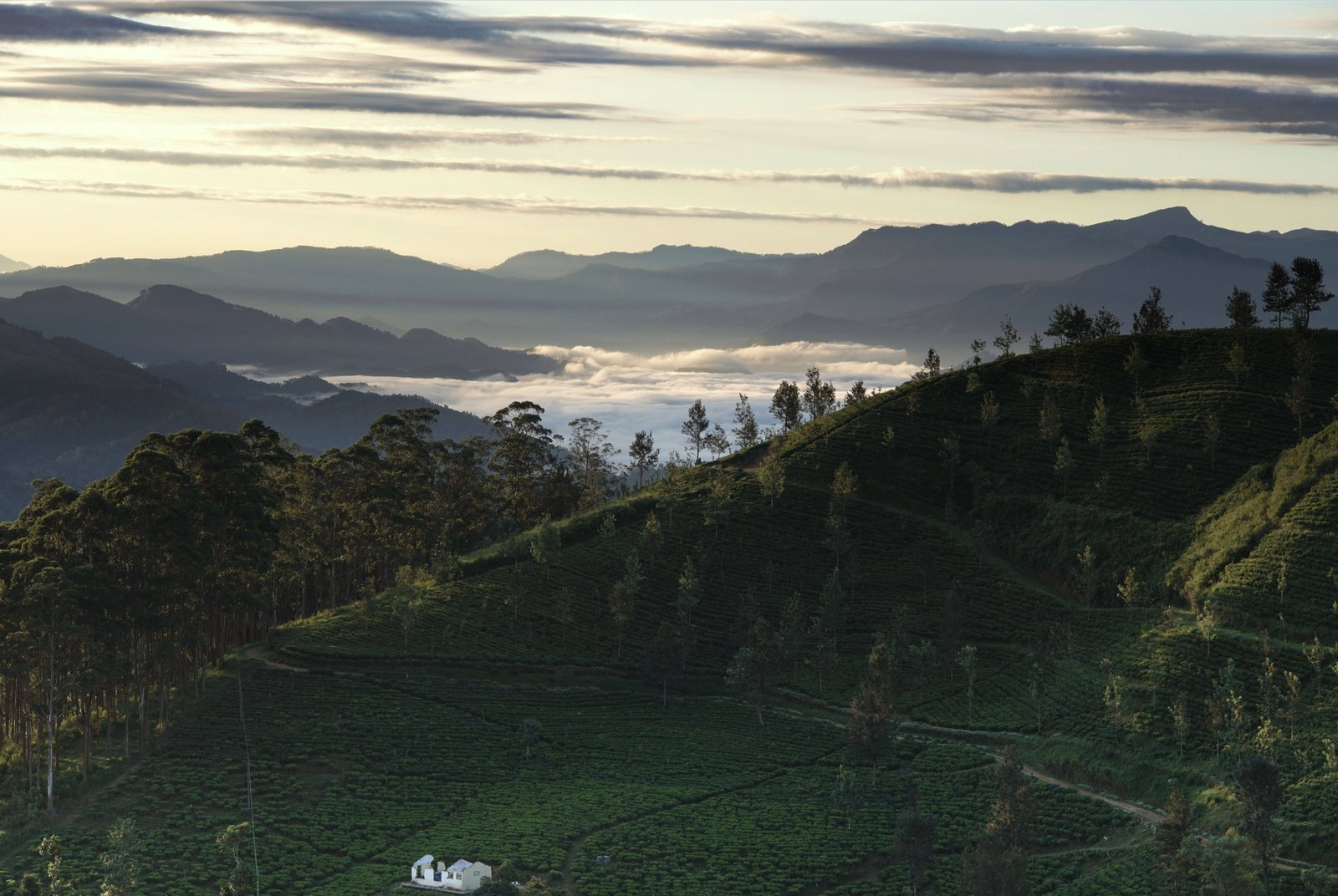 Sri Lanka Family Itinerary