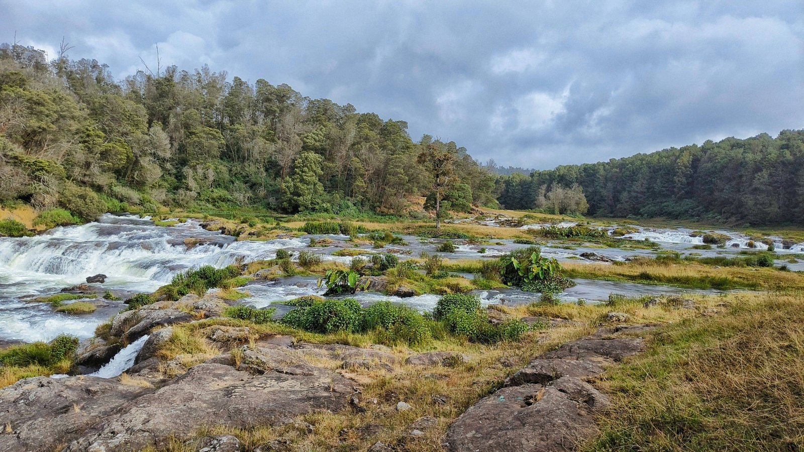 Ooty – Coorg – Wayanad Family Escape