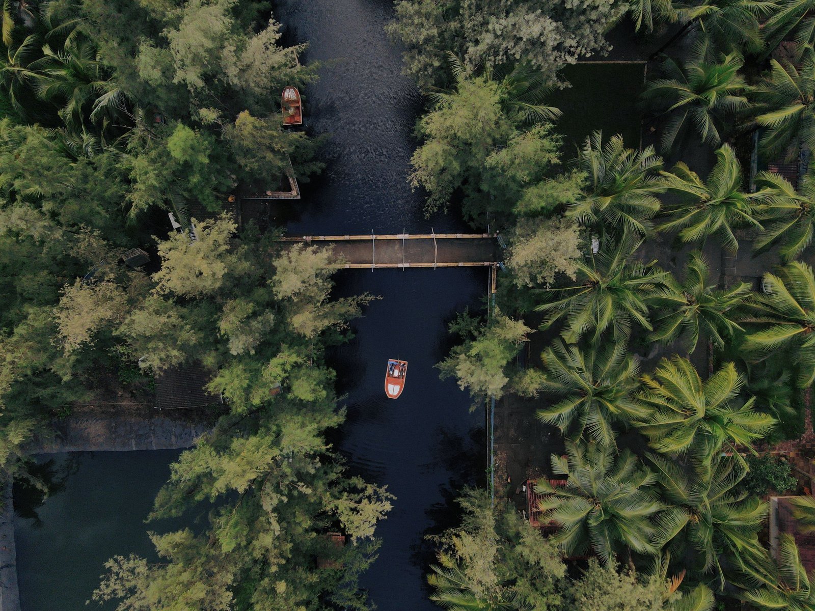 Kerala Bliss