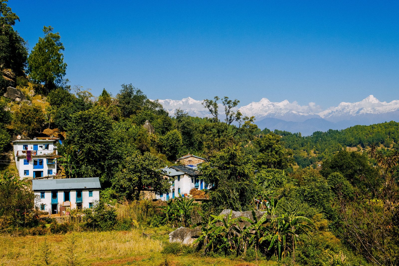 Himalayan Serenity – Nainital, Ranikhet & Jim Corbett Escape