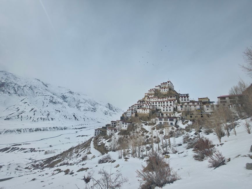 Himachal Pradesh Travel Guide 2026-27: Shimla, Manali, Dharamshala & Kasol Planned Right