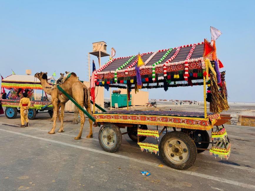 Rann Utsav 2026-27: Kutch White Desert Travel Guide, Dates, Tent City & Tips